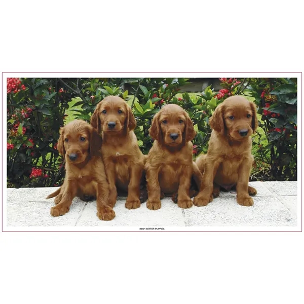 Skinner & Kennedy™ Large Everyday Farm Memo - Skinner & Kennedy™ Large Everyday Farm Memo - Image 54 of 86