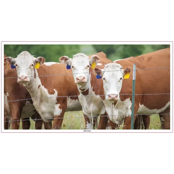 Skinner & Kennedy™ Large Everyday Farm Memo - Skinner & Kennedy™ Large Everyday Farm Memo - Image 58 of 86