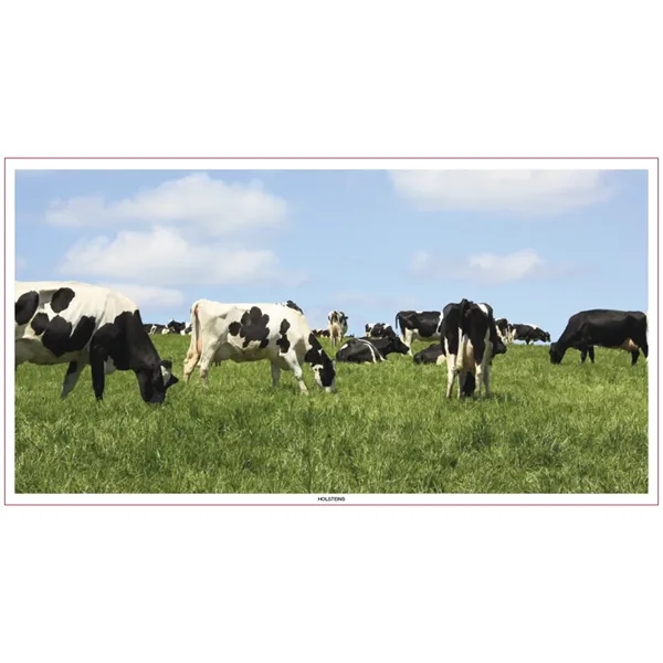 Skinner & Kennedy™ Large Everyday Farm Memo - Skinner & Kennedy™ Large Everyday Farm Memo - Image 59 of 86