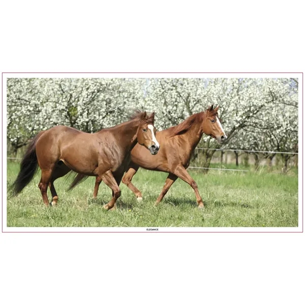 Skinner & Kennedy™ Large Everyday Farm Memo - Skinner & Kennedy™ Large Everyday Farm Memo - Image 61 of 86