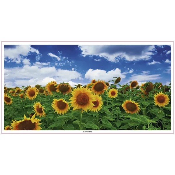 Skinner & Kennedy™ Large Everyday Farm Memo - Skinner & Kennedy™ Large Everyday Farm Memo - Image 69 of 86