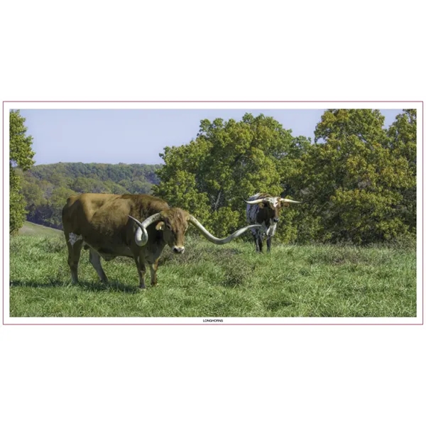 Skinner & Kennedy™ Large Everyday Farm Memo - Skinner & Kennedy™ Large Everyday Farm Memo - Image 79 of 86