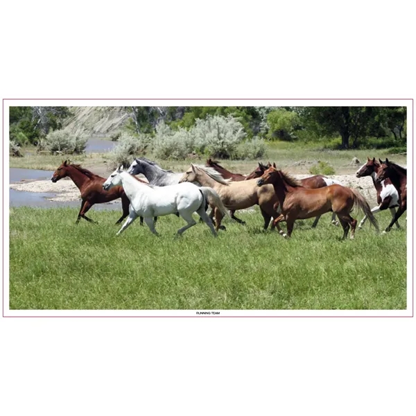 Skinner & Kennedy™ Large Everyday Farm Memo - Skinner & Kennedy™ Large Everyday Farm Memo - Image 85 of 86