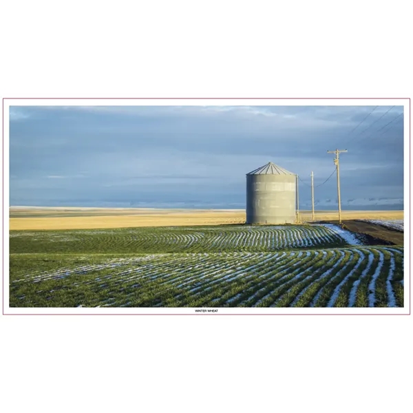 Skinner & Kennedy™ Large Everyday Farm Memo - Skinner & Kennedy™ Large Everyday Farm Memo - Image 86 of 86