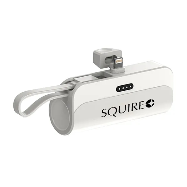 Custom 5000mah Portable Charger Power Bank