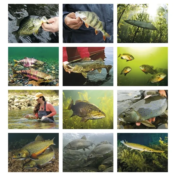 Good Value™ Fishing - Stapled Calendar - Good Value™ Fishing - Stapled Calendar - Image 3 of 31