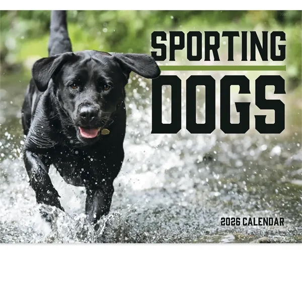 Good Value™ Sporting Dogs - Stapled Calendar - Good Value™ Sporting Dogs - Stapled Calendar - Image 8 of 27