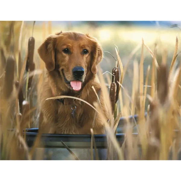 Good Value™ Sporting Dogs - Stapled Calendar - Good Value™ Sporting Dogs - Stapled Calendar - Image 16 of 27