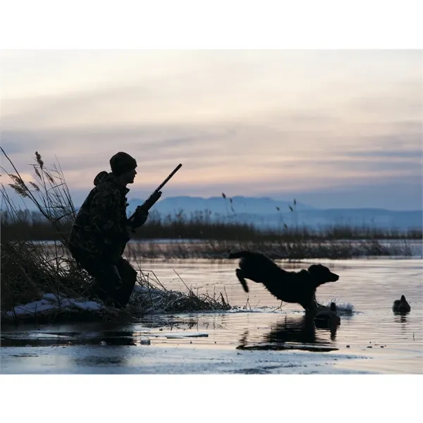 Good Value™ Sporting Dogs - Stapled Calendar - Good Value™ Sporting Dogs - Stapled Calendar - Image 17 of 27