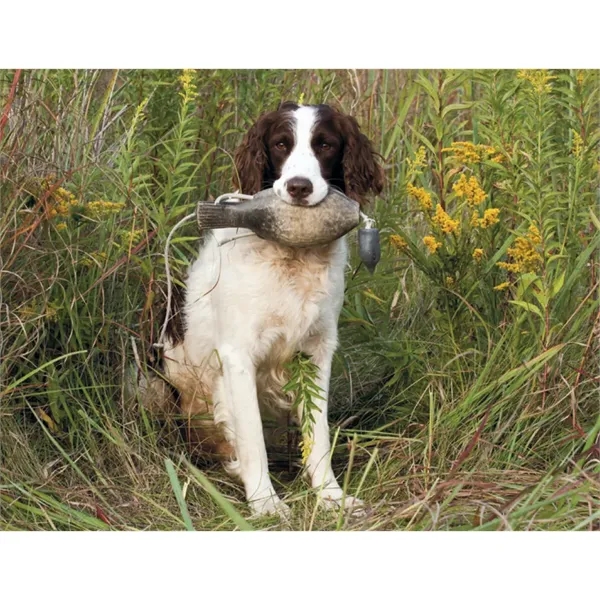 Good Value™ Sporting Dogs - Stapled Calendar - Good Value™ Sporting Dogs - Stapled Calendar - Image 21 of 27