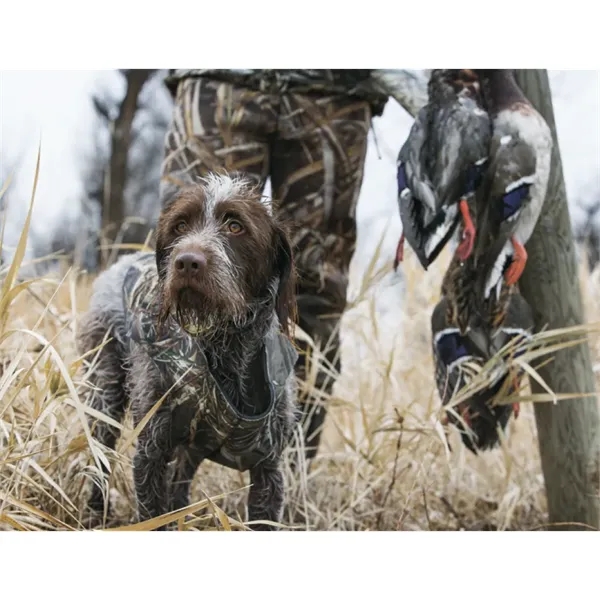 Good Value™ Sporting Dogs - Stapled Calendar - Good Value™ Sporting Dogs - Stapled Calendar - Image 27 of 27