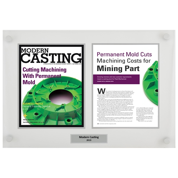 Celebrity Media Award Plaque Frame - Celebrity Media Award Plaque Frame - Image 1 of 6