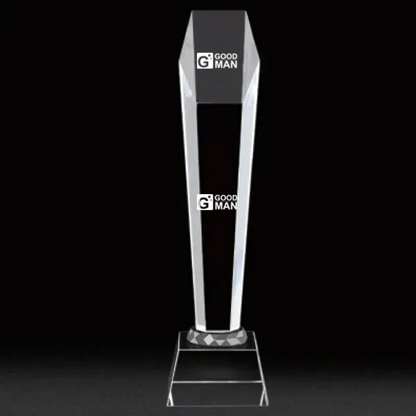 Medium  Glass Awards Trophy Cups