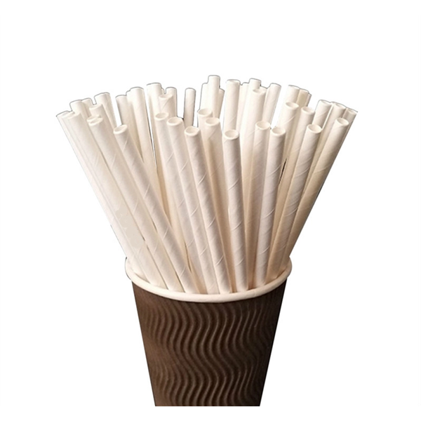 Eco Paper Straw - Eco Paper Straw - Image 0 of 1