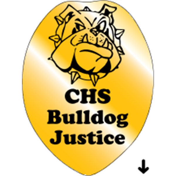 Shield Recognition Label - Shield Recognition Label - Image 3 of 3
