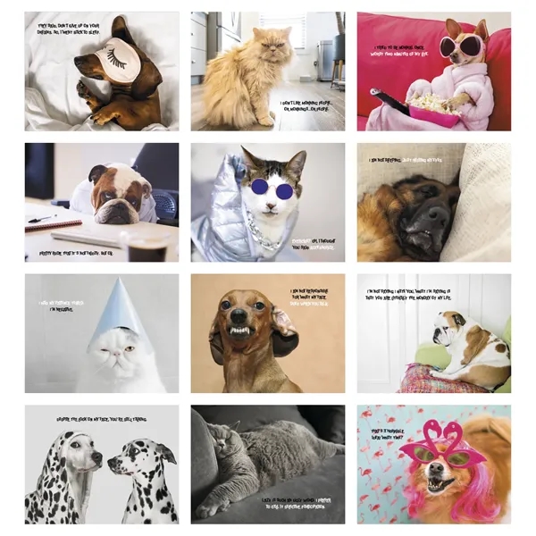Good Value™ Pets with Attitude - Stapled Calendar - Good Value™ Pets with Attitude - Stapled Calendar - Image 3 of 31