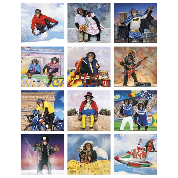 Triumph® Calendars Monkey Business Calendar - Triumph® Calendars Monkey Business Calendar - Image 3 of 22