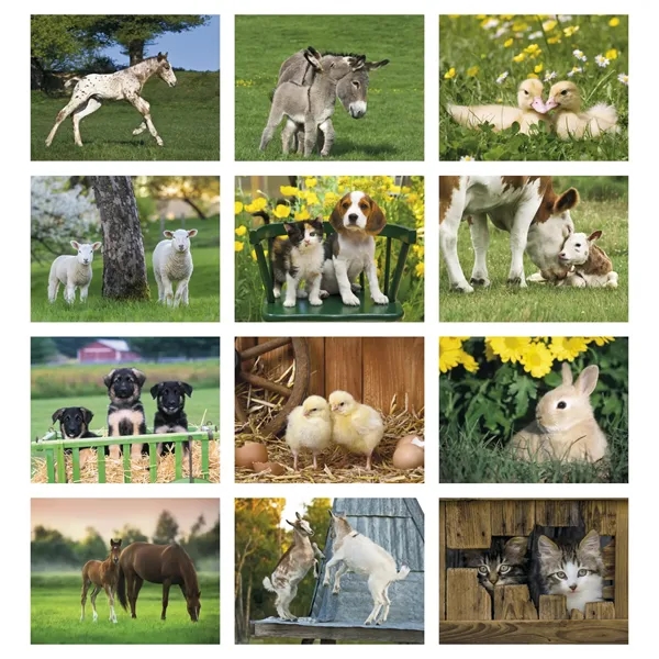Good Value™ Baby Farm Animals - Stapled Calendar - Good Value™ Baby Farm Animals - Stapled Calendar - Image 3 of 31