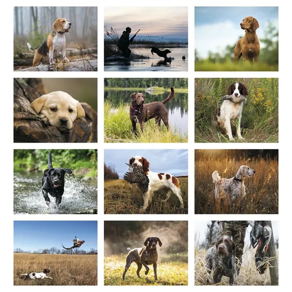 Good Value™ Sporting Dogs - Stapled Calendar - Good Value™ Sporting Dogs - Stapled Calendar - Image 3 of 27