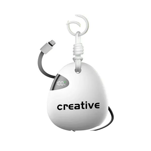 Custom PebbleCharge Bank - Custom PebbleCharge Bank - Image 1 of 8