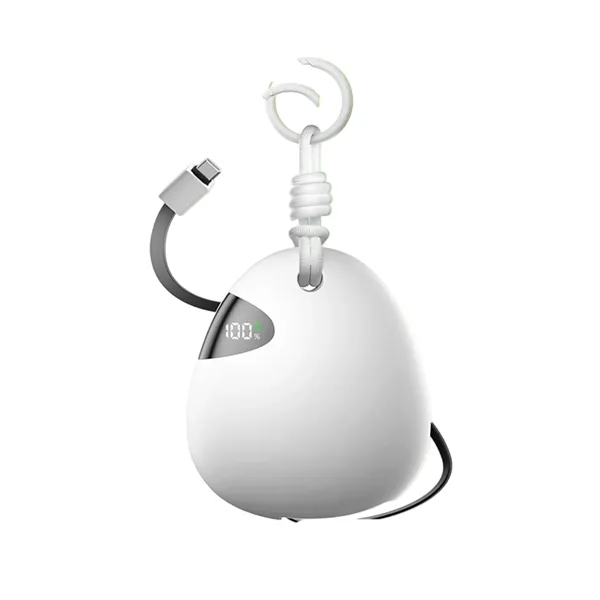 Custom PebbleCharge Bank - Custom PebbleCharge Bank - Image 2 of 8