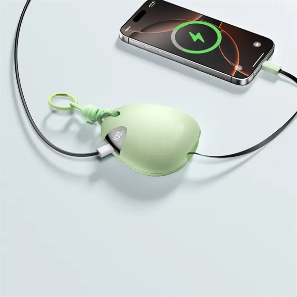 Custom PebbleCharge Bank - Custom PebbleCharge Bank - Image 5 of 8