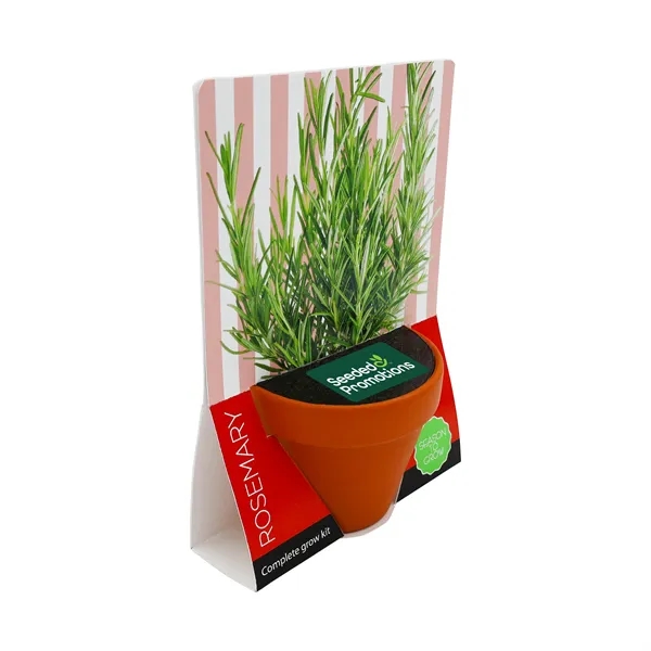 Terracotta 7cm Grow Kit - Season to Grow - Rosemary - Terracotta 7cm Grow Kit - Season to Grow - Rosemary - Image 0 of 6