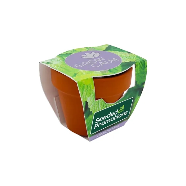 Mini Terracotta Grow Kit - Grow Calm - Lavender - Mini Terracotta Grow Kit - Grow Calm - Lavender - Image 0 of 7