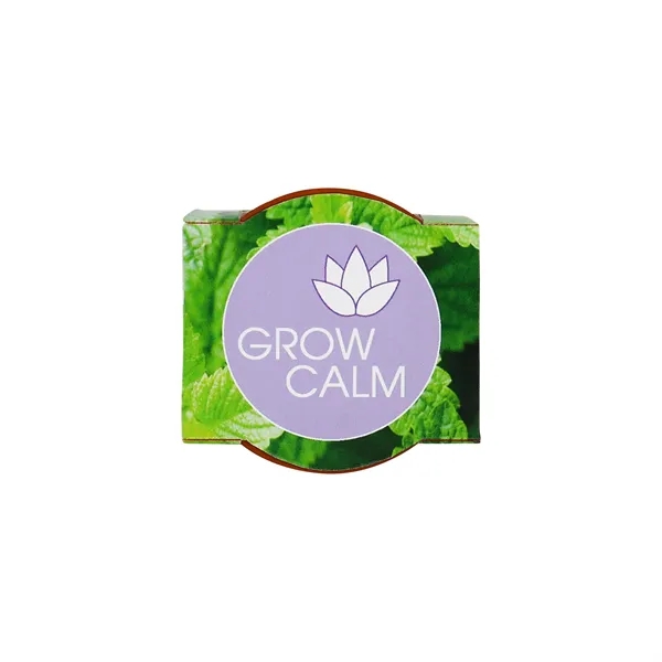 Mini Terracotta Grow Kit - Grow Calm - Lavender - Mini Terracotta Grow Kit - Grow Calm - Lavender - Image 3 of 7