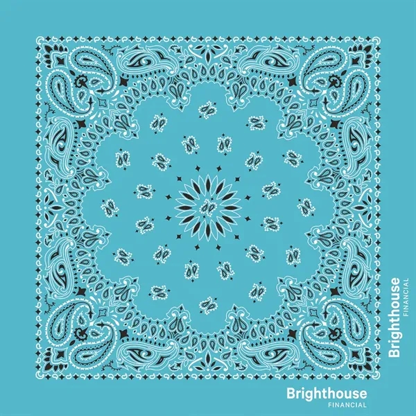 USA Made Classic Stock Paisley Designs - USA Made Classic Stock Paisley Designs - Image 39 of 39