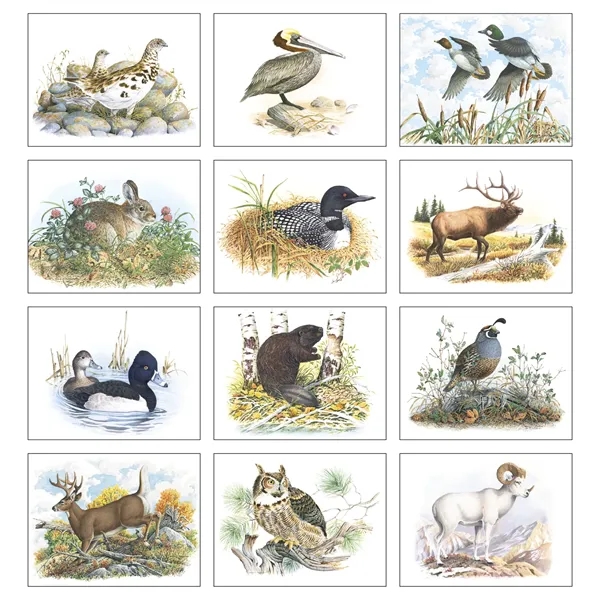 Good Value™ Wildlife Trek - Spiral Calendar - Good Value™ Wildlife Trek - Spiral Calendar - Image 8 of 31