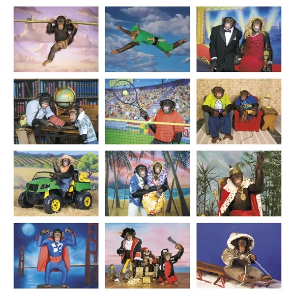 Good Value™ Monkey Mischief - Spiral Calendar - Good Value™ Monkey Mischief - Spiral Calendar - Image 6 of 30