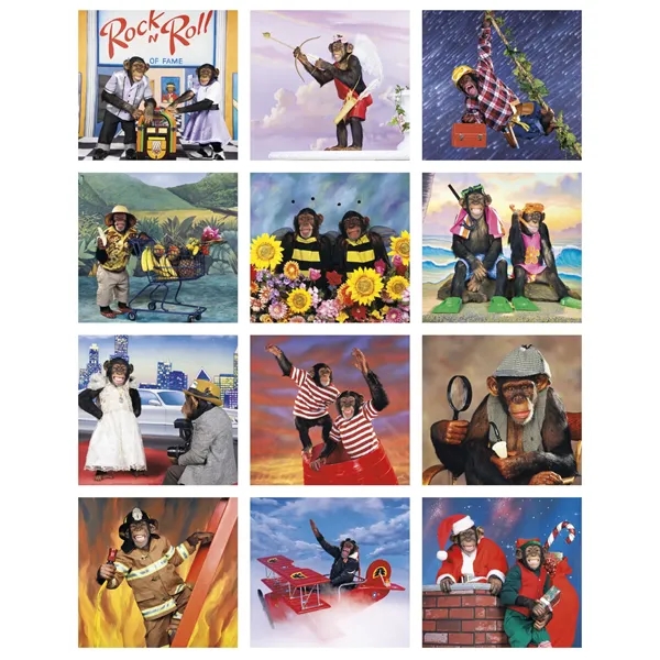 Triumph® Calendars Monkey Business Calendar - Triumph® Calendars Monkey Business Calendar - Image 1 of 22