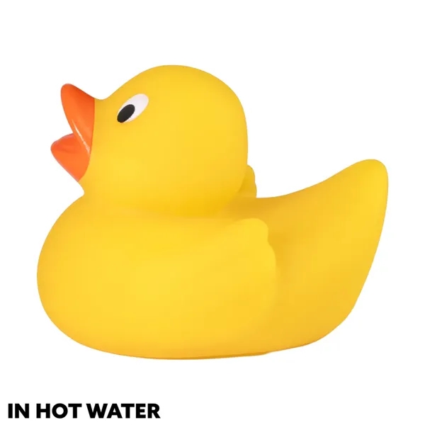 Lil' Color-Changing Duck