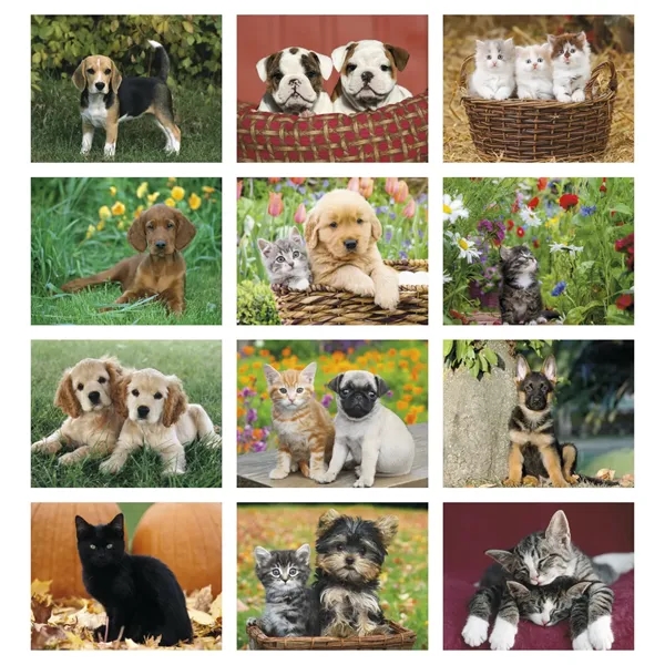 Products Four Paws Appointment Calendar - Stapled - Products Four Paws Appointment Calendar - Stapled - Image 3 of 35