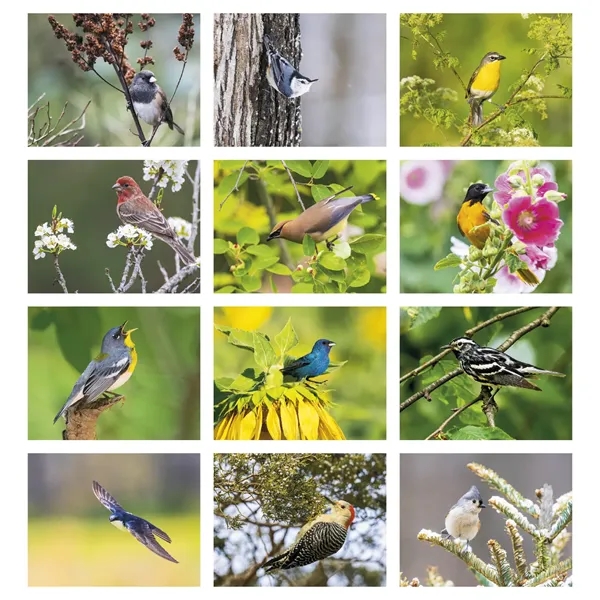 Products Songbirds Appointment Calendar - Stapled - Products Songbirds Appointment Calendar - Stapled - Image 12 of 35