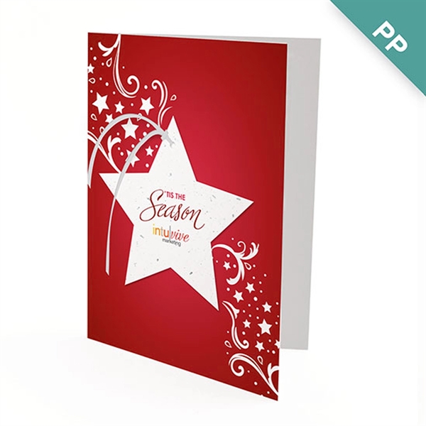 Seasonal Star Ornament Business Holiday Cards - Seasonal Star Ornament Business Holiday Cards - Image 0 of 0