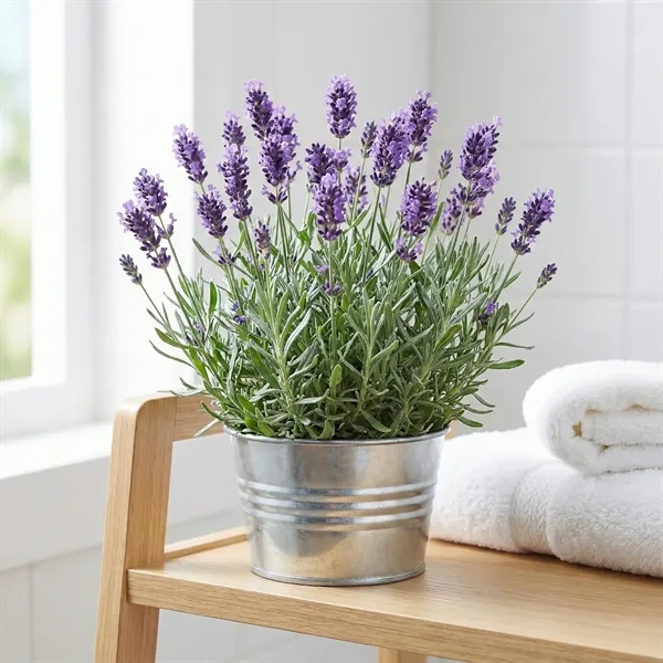 Basin Grow Kit - Grow well - Lavender - Basin Grow Kit - Grow well - Lavender - Image 8 of 8