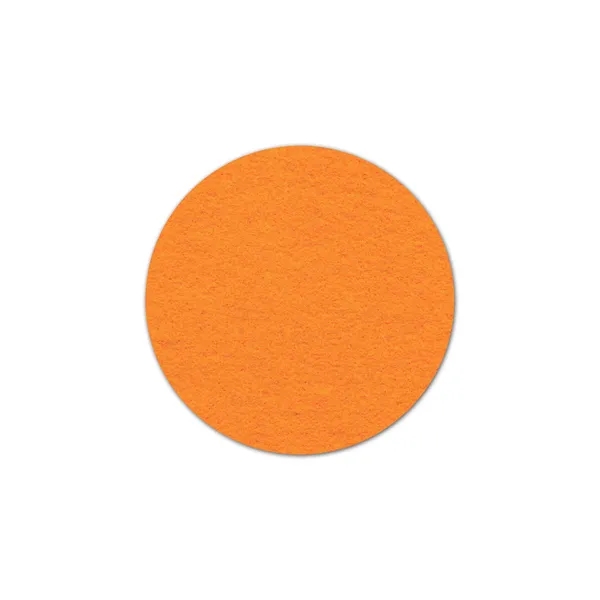 Circle Shammy Coaster