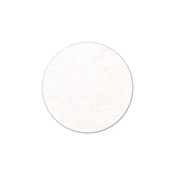 Circle Shammy Coaster