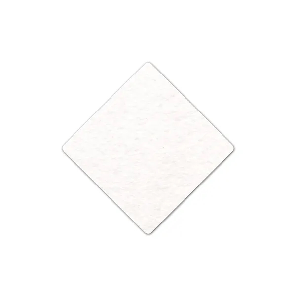 Diamond Shammy Coaster