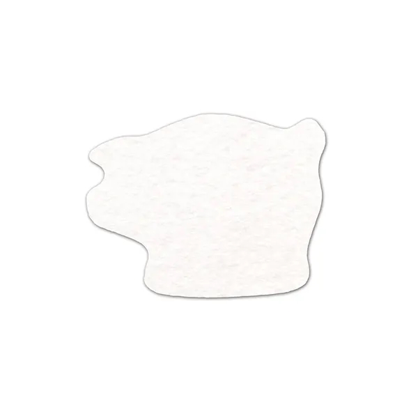 Piggy Bank Shammy Coaster