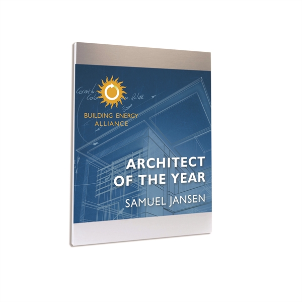 Accented Plane Plaque - Accented Plane Plaque - Image 2 of 2