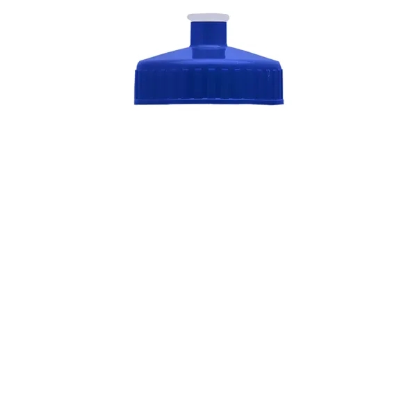 Garyline® Mini Bottle with Push-Pull Lid - 16 oz. - Garyline® Mini Bottle with Push-Pull Lid - 16 oz. - Image 52 of 58