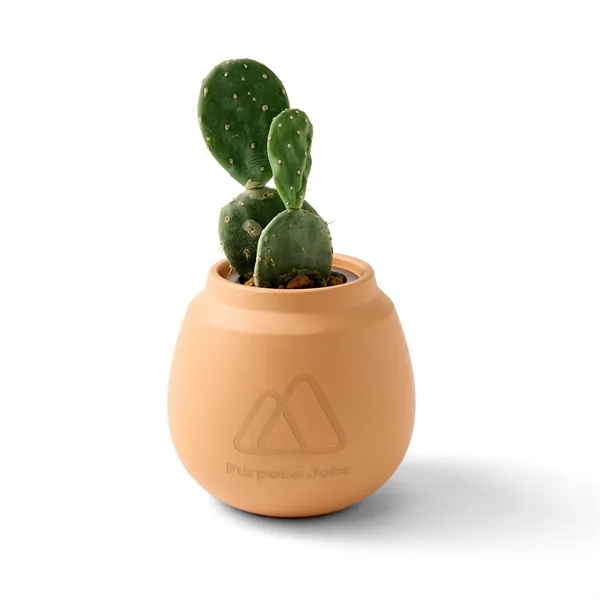 Custom Modern Sprout® Modern Terracotta Grow Kit Cactus