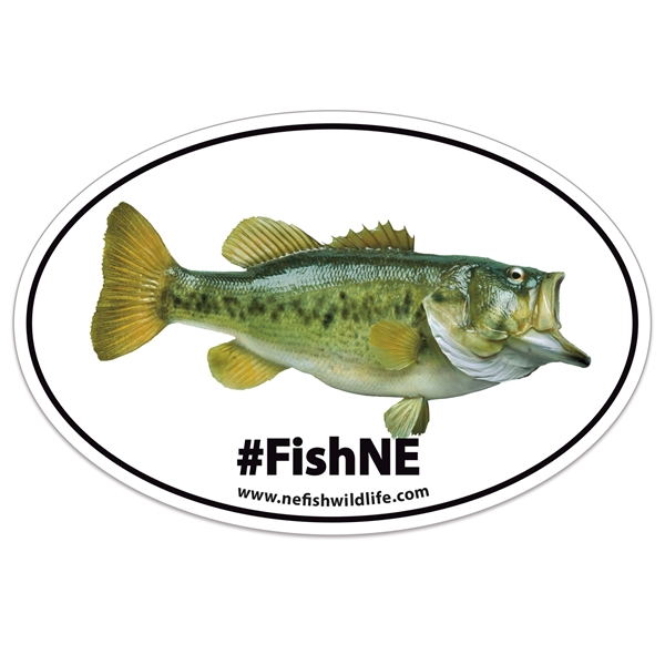 HD Resolution Full Color Oval Zip Strip Bumper Sticker (4"x6 - HD Resolution Full Color Oval Zip Strip Bumper Sticker (4"x6 - Image 0 of 0