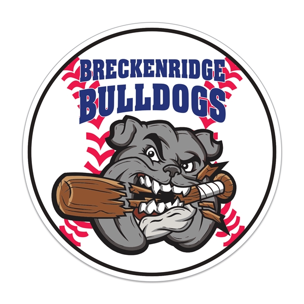 Baseball Shaped Sports Magnet - Baseball Shaped Sports Magnet - Image 0 of 0