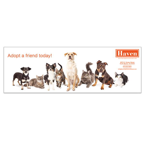 Rectangle Vinyl Bumper Sticker Magnet (3" x 9") - Rectangle Vinyl Bumper Sticker Magnet (3" x 9") - Image 0 of 0