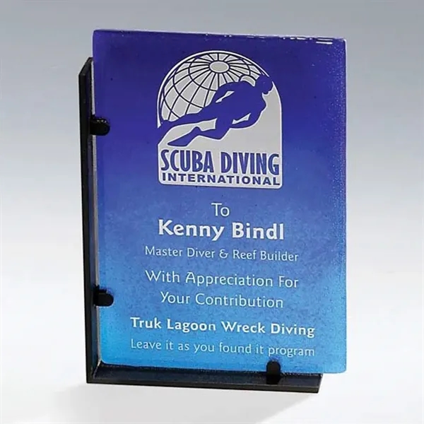Recycled Rectangle Award