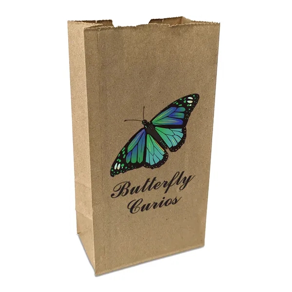 Popcorn Specialty Bag - ColorVista